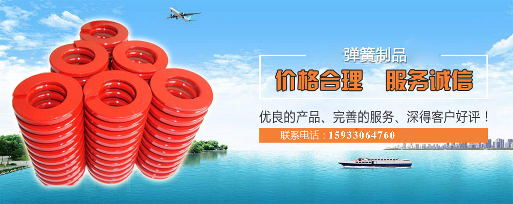 模(mó)具彈簧定(ding)做廠家